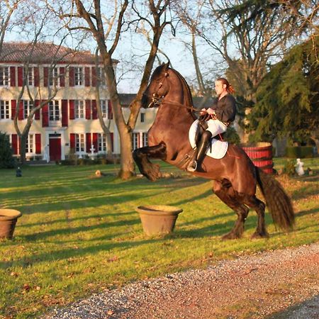 Le Relais Du Silence Chateau Lavail Labastide-dʼAnjou Exterior foto